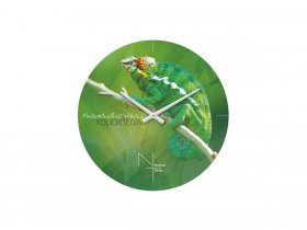 Часы настенные Nicole Time NT503 в Половинном - polovinnoe.mebel-nsk.ru | фото